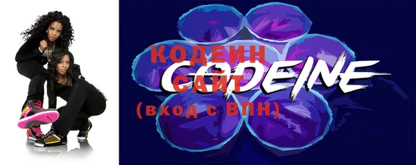 прущие грибы Гусь-Хрустальный