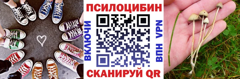 Псилоцибиновые грибы GOLDEN TEACHER Острогожск